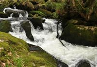 Golitha Falls, Redgate Fowey